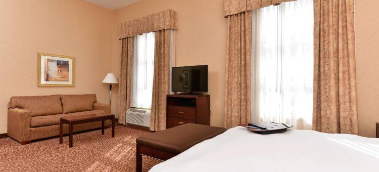 埃德蒙顿国际机场希尔顿欢朋套房酒店(Hampton Inn & Suites by Hilton Edmonton International Airport)图片