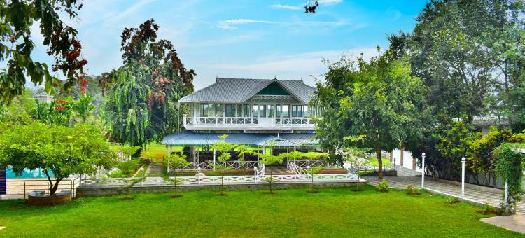 MGM Whispering Wind's Yelagiri图片