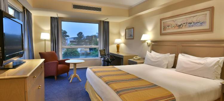 Holiday Inn 科尔多瓦(Holiday Inn CORDOBA by IHG)图片