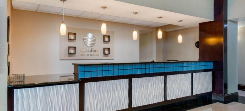 塔瓦雷斯北舒适套房酒店(Comfort Inn & Suites Tavares North)图片