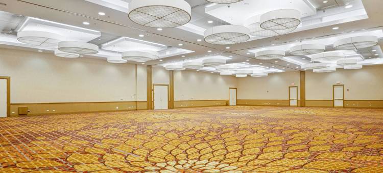 芝加哥内珀维尔万豪酒店(Chicago Marriott Naperville)图片