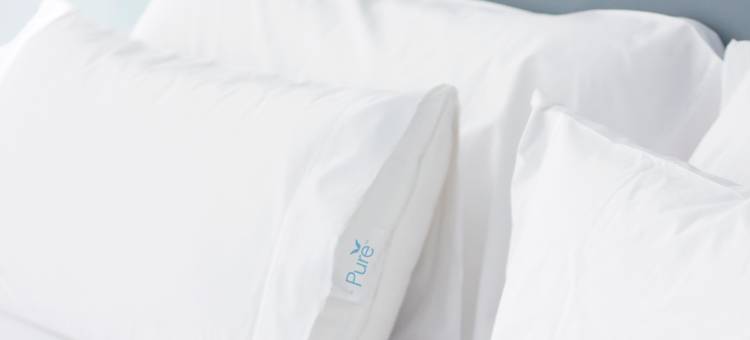 奥兰多海洋世界Residence Inn 酒店(Residence Inn Orlando at SeaWorld)图片