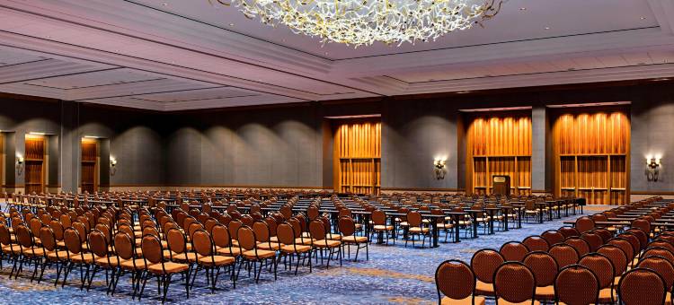 盖洛德德克萨斯度假酒店及会议中心(Gaylord Texan Resort & Convention Center)图片