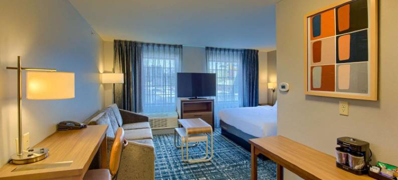 南湾诺特里达姆区Homewood Suites by Hilton(Homewood Suites by Hilton South Bend Notre Dame Area)图片