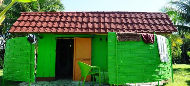 4 Pohon - les 4 Arbres图片