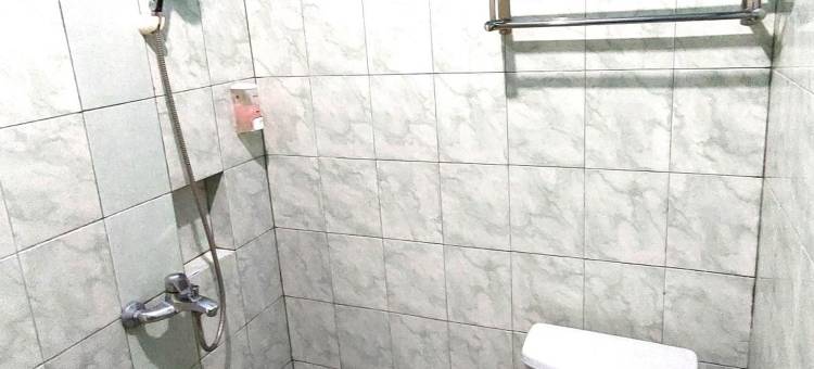 里奇遗产酒店(Riche Heritage Hotel Kayutangan Malang)图片