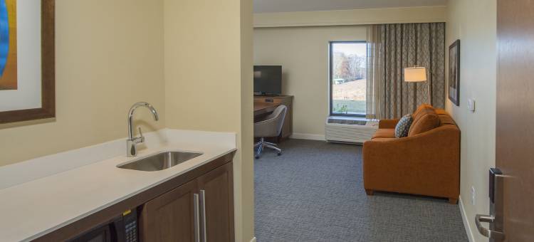 希尔顿欢朋套房酒店-布拉塞尔顿(Hampton Inn & Suites Braselton)图片