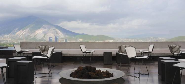 蒙特雷哈比塔酒店 - 设计酒店会员(Habita Monterrey, a Member of Design Hotels)图片