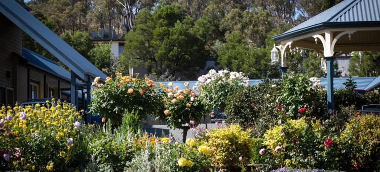 柳树汽车旅馆(Willows Motel)图片