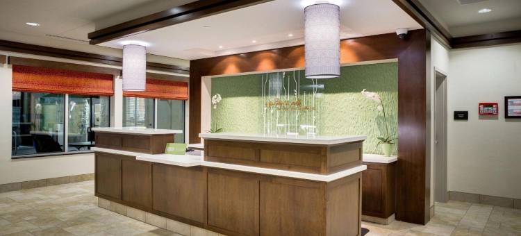 北休斯敦斯普林希尔顿花园酒店(Hilton Garden Inn North Houston/Spring)图片