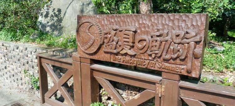 盛夏的軌跡图片