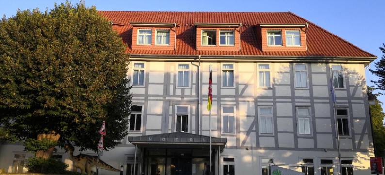 拜德雷布尔格公园酒店(Parkhotel Bad Rehburg)图片