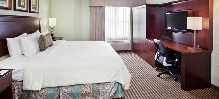 亚特兰大巴克黑德智选假日套房酒店(Holiday Inn Express & Suites Atlanta Buckhead)图片