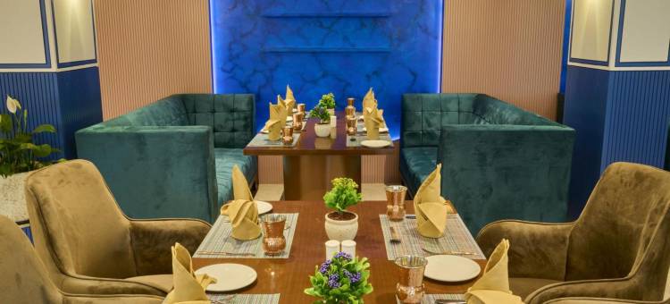 Borail View Regency图片