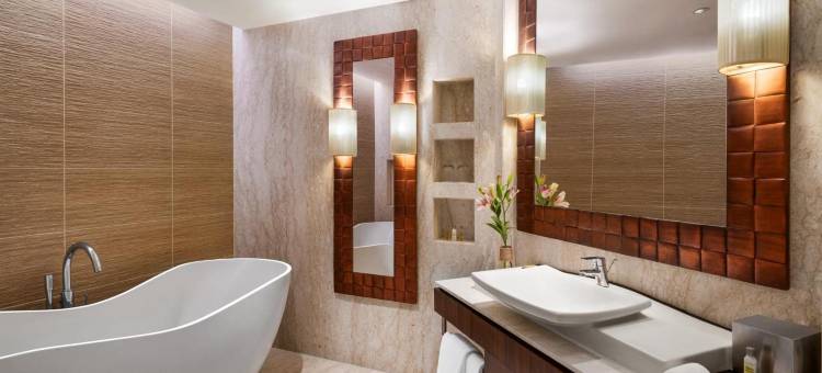 齐普尔希尔顿酒店(Hilton Jaipur)图片