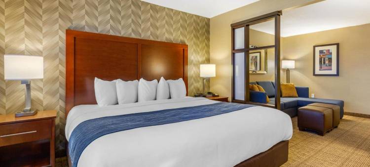 洛根国际机场舒适套房酒店(Comfort Inn & Suites Logan International Airport)图片