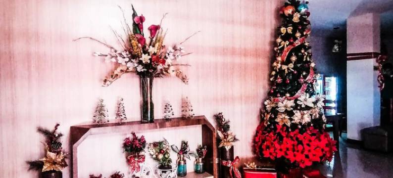 市中心套房酒店(Downtown Suites)图片