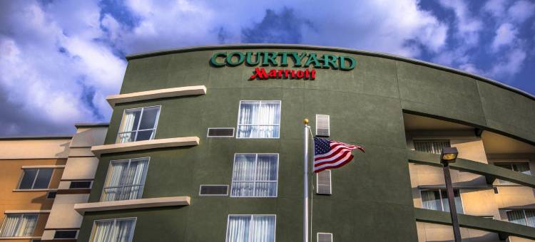 查尔斯顿市中心/市政中心万怡酒店(Courtyard Charleston Downtown/Civic Center)图片