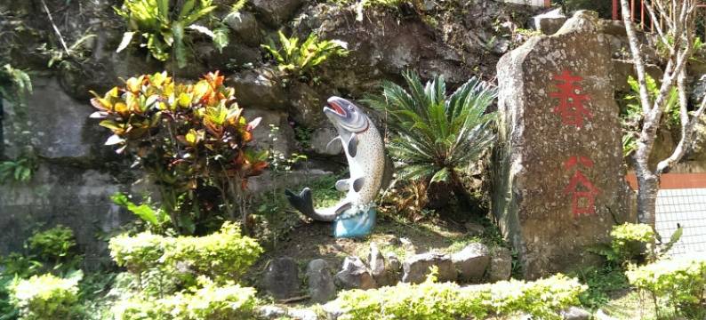 春谷养鳟农场图片