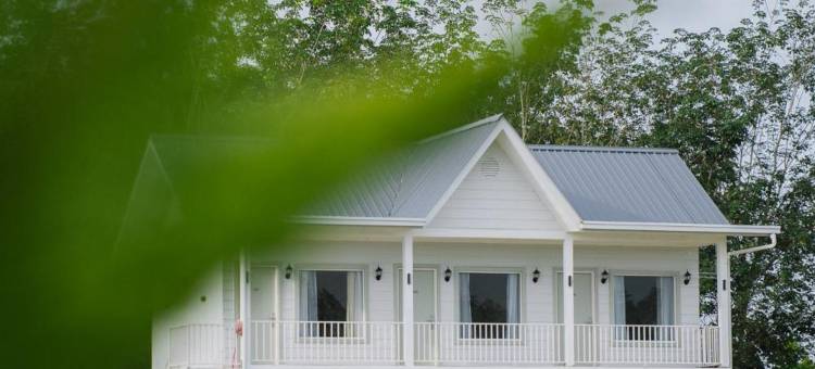 White Roses Cottage图片