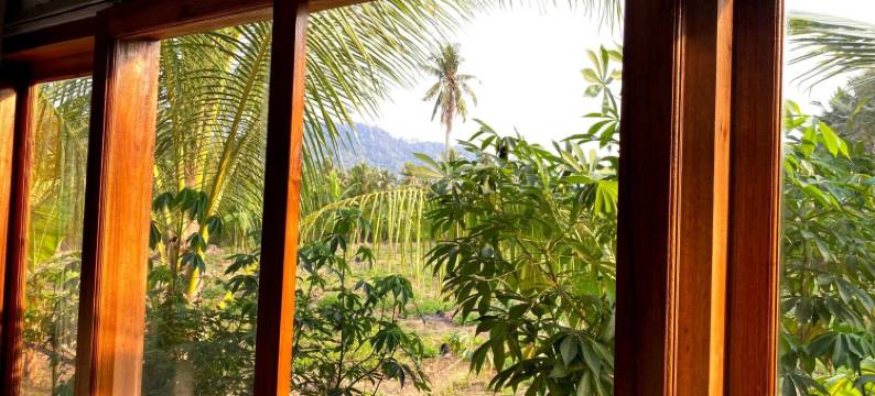 美庐贝提丽冒险民宿(Adventure Turtle Homestay Meru Betiri)图片