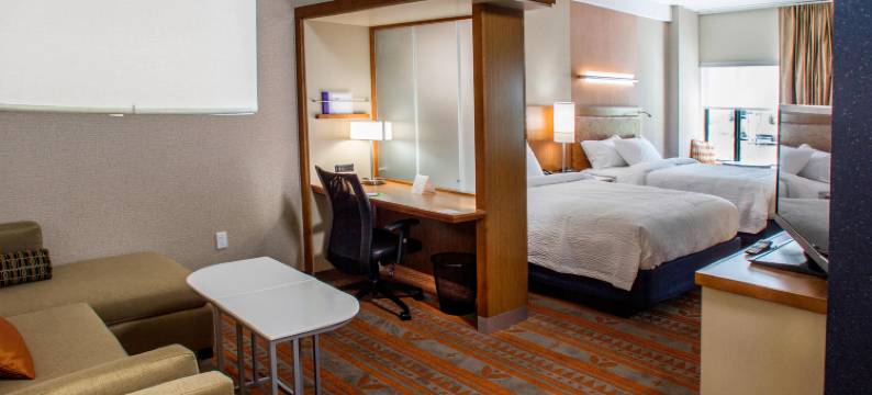 戴德伍德万豪SpringHill Suites 酒店(SpringHill Suites Deadwood)图片