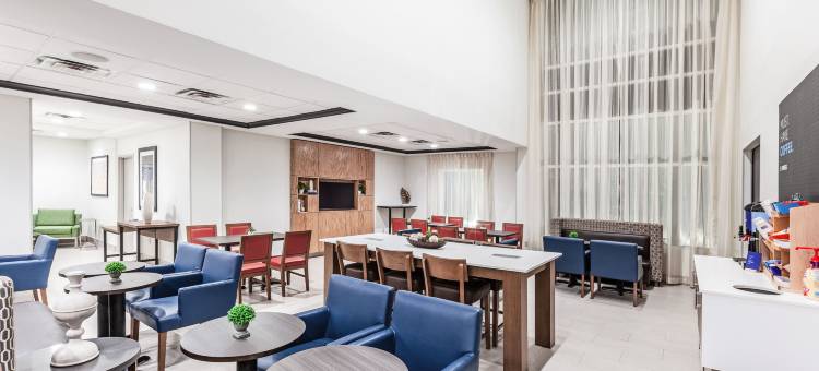 智选假日套房酒店巴吞鲁日东(Holiday Inn Express & Suites Baton Rouge East)图片