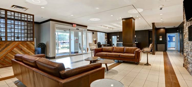 多伦多密西沙加福朋喜来登酒店(Four Points by Sheraton Toronto Mississauga)图片
