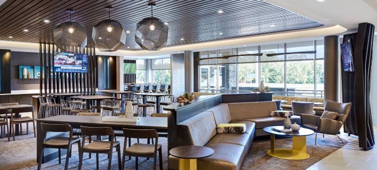万豪斯泊林山套房酒店 - 坦帕布兰登(SpringHill Suites Tampa Downtown)图片
