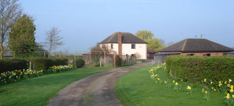 指针旅馆(Pointers Guest House)图片