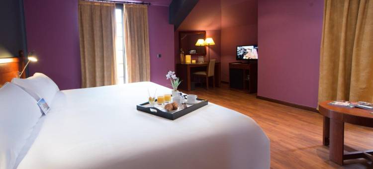 塞戈维亚塞拉德瓜达拉马酒店(Segovia Sierra de Guadarrama)图片