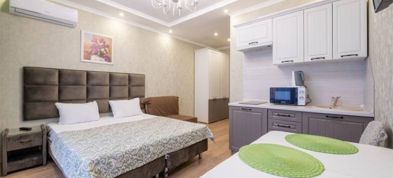 Vidnyi公寓酒店(Apartments Vidny)图片