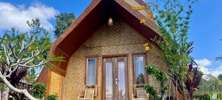 贝洛平房(Bello Bungalow)图片