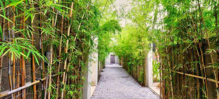 萨阳萨努尔阳台酒店(Sayang Sanur Terrace House)图片