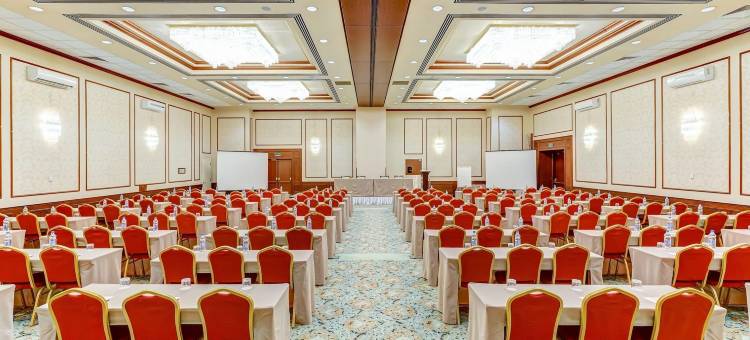 埃罗斯塔酒店(Aerostar Hotel Moscow)图片