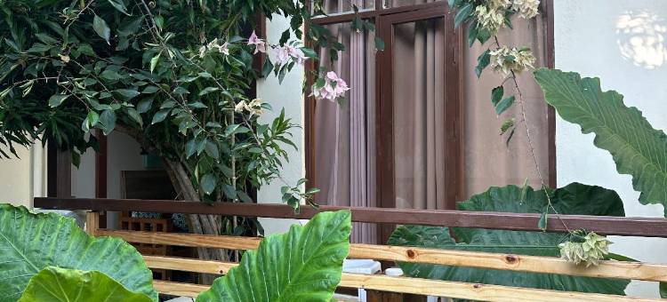 布干维尔旅馆-马尔代夫(Bougainvillea Inn - Maldives)图片