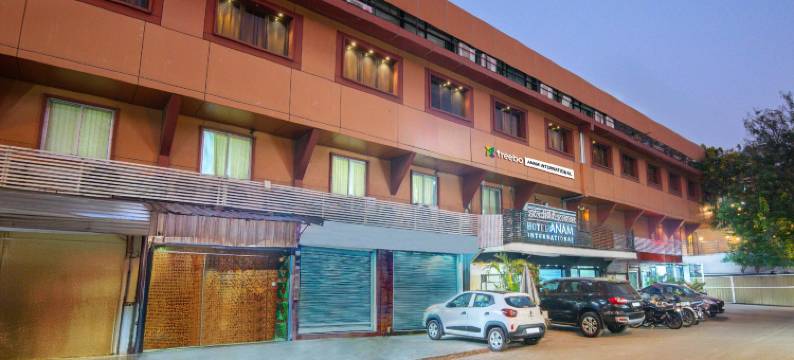 Treebo 阿南国际酒店(Treebo Anam International)图片