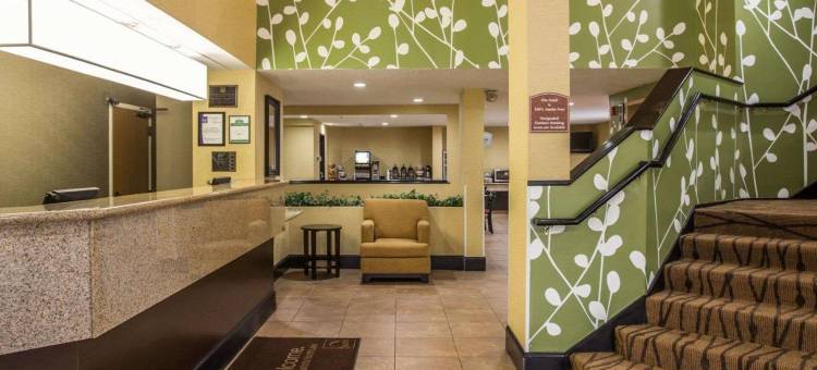 北湖舒眠酒店(Sleep Inn Northlake)图片