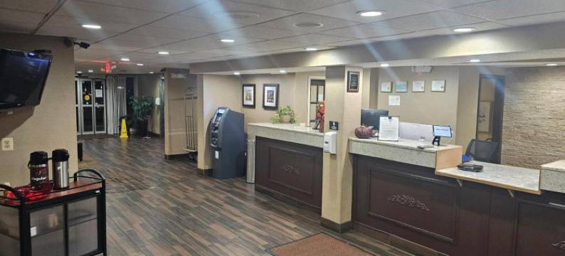 韦瑟斯菲尔德哈特福德舒适酒店(Comfort Inn Wethersfield - Hartford)图片