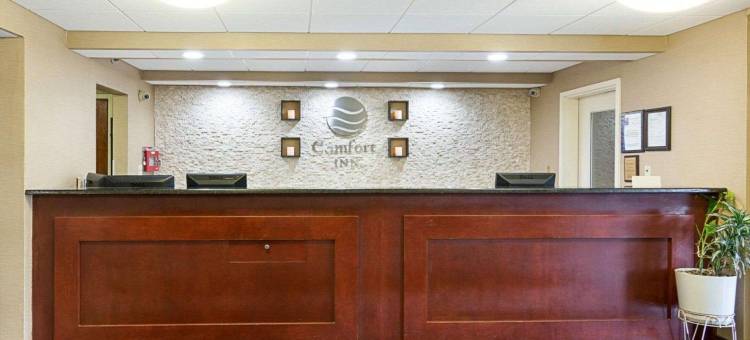 舒适酒店(Comfort Inn)图片