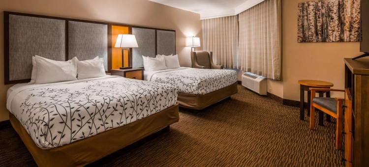 布尔什瑞昂/弗兰肯默斯温德姆Americinn酒店(Americinn by Wyndham Birch Run/Frankenmuth)图片