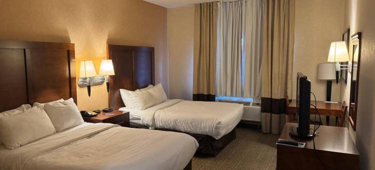 舒适酒店及套房-汉堡-南布法罗(Comfort Inn & Suites Hamburg - Buffalo South)图片