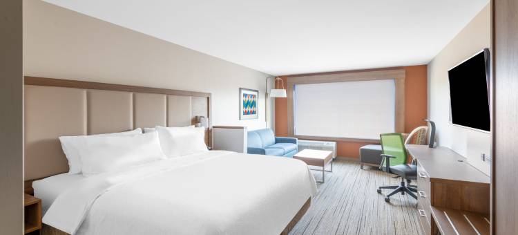 凤凰城机场北智选假日套房(Holiday Inn Express & Suites Phoenix - Airport North)图片