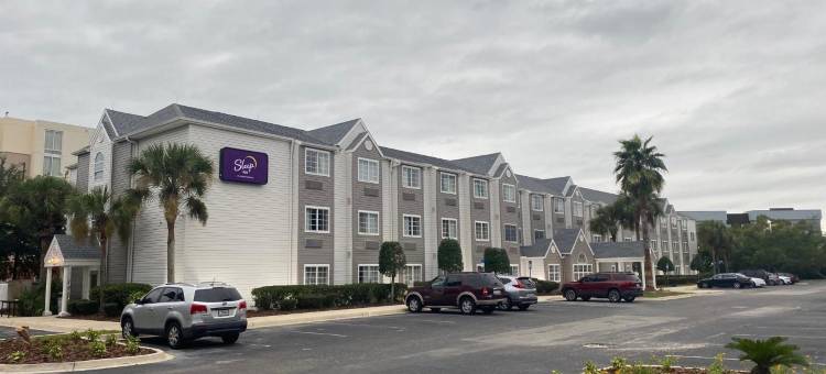 杰克逊维尔机场舒眠酒店(Sleep Inn Jacksonville Airport)图片