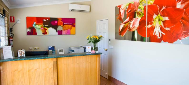 星光汽车旅馆(Starlight Motor Inn)图片