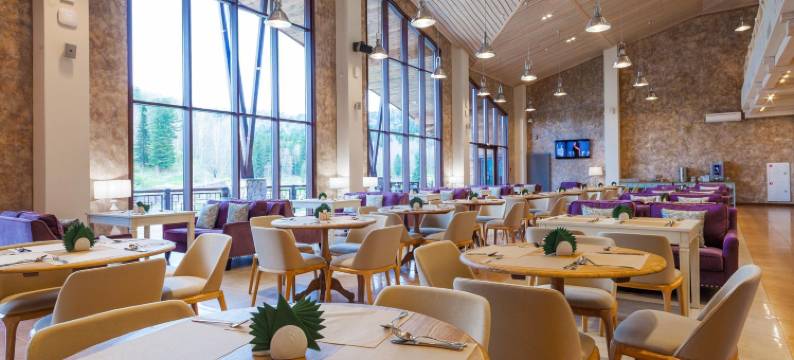 Cosmos Collection Altay Resort图片