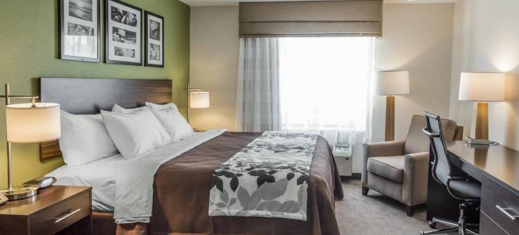 南代顿舒眠旅馆及套房(Sleep Inn & Suites Dayton South)图片