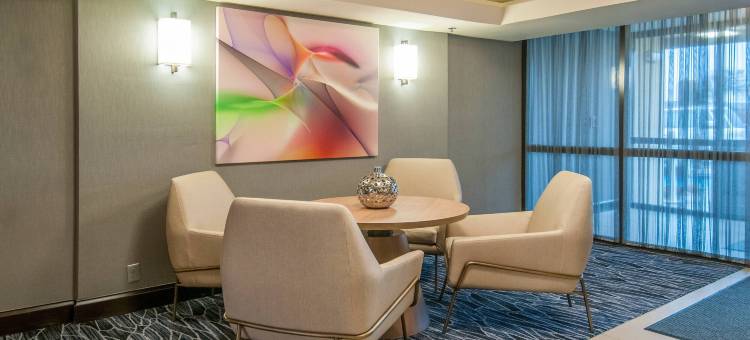 欧文/达拉斯DFW机场南万枫酒店及套房(Fairfield Inn & Suites Dallas DFW Airport South/Irving)图片