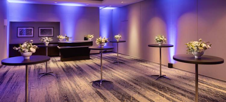 芝加哥市区壮丽大道万怡酒店(Courtyard Chicago Downtown/Magnificent Mile)图片