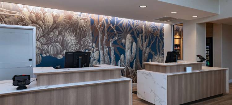 埃尔帕索东居家酒店(Residence Inn El Paso East)图片